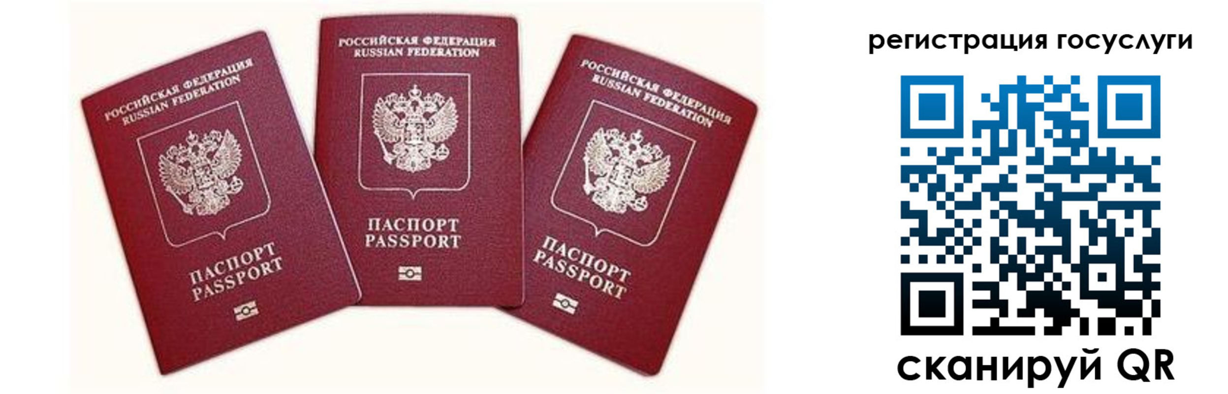 регистрация для школы в Ельце