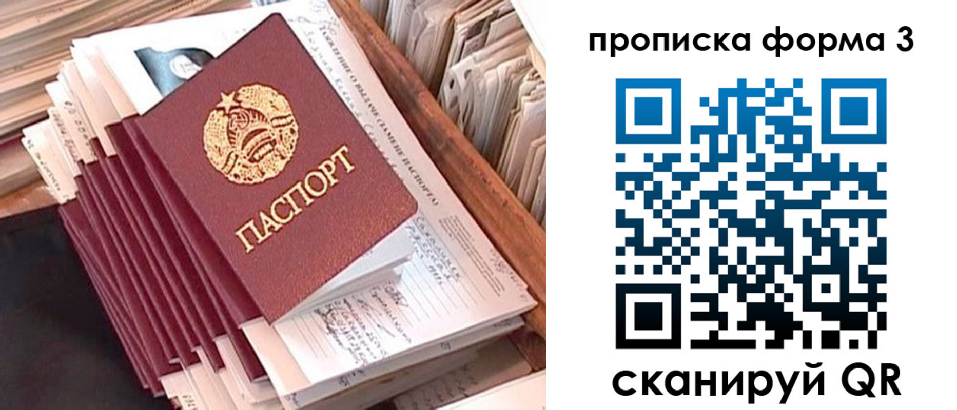 прописка гарантия в Ельце